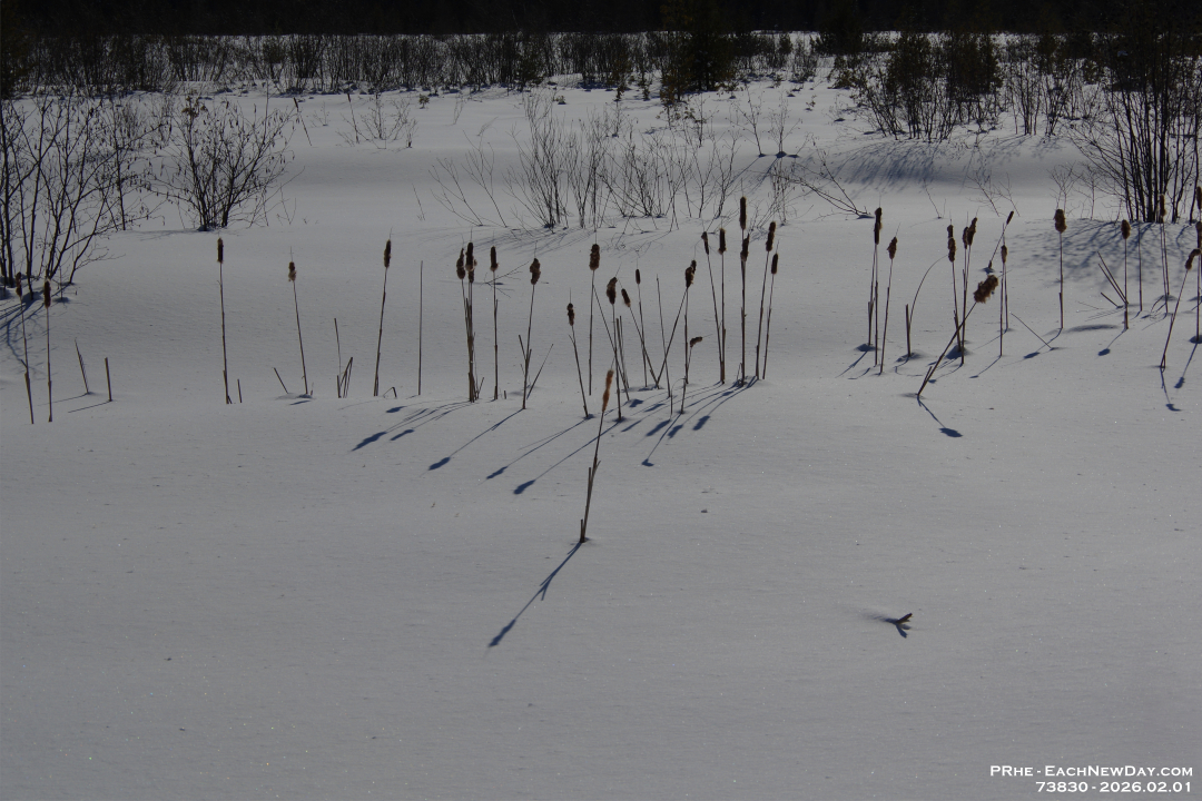 73830PeCrLeUsm - A lovely Sunday afternoon walk with Beth at the George Langman Sanctuary
